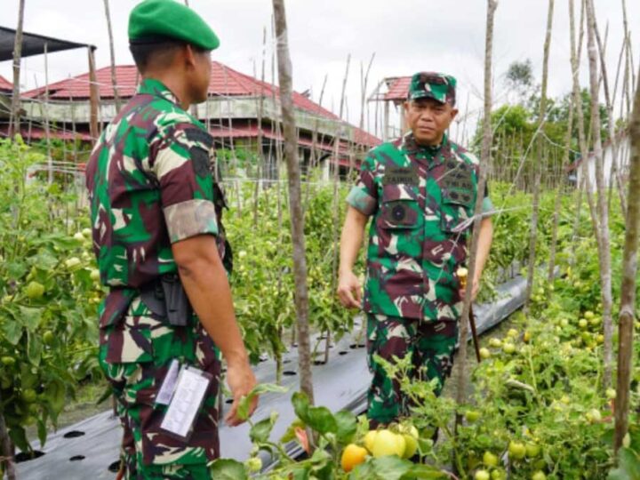 Pangdam XXII/TB Tinjau Langsung Batalyon Teritorial Pembangunan