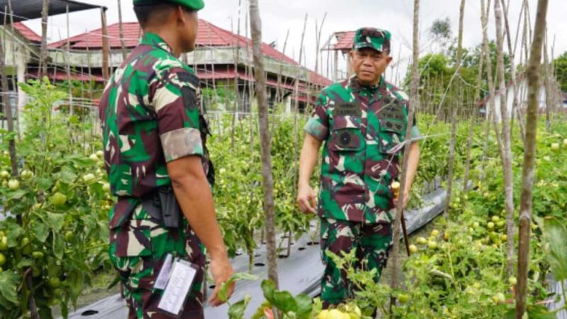 Pangdam XXII/TB Tinjau Langsung Batalyon Teritorial Pembangunan