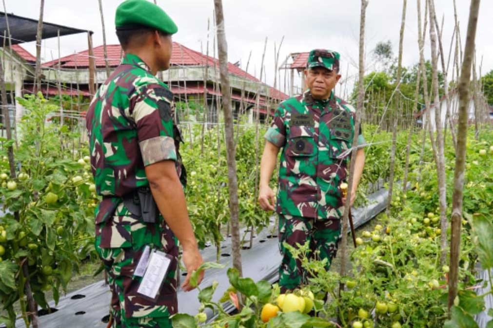 Pangdam XXII/TB Tinjau Langsung Batalyon Teritorial Pembangunan