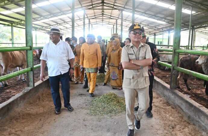 Gubernur Tinjau Kawasan Peternakan BJA Farm.