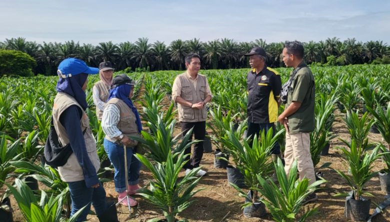 Disbun Perketat Pengawasan Bibit Sawit.