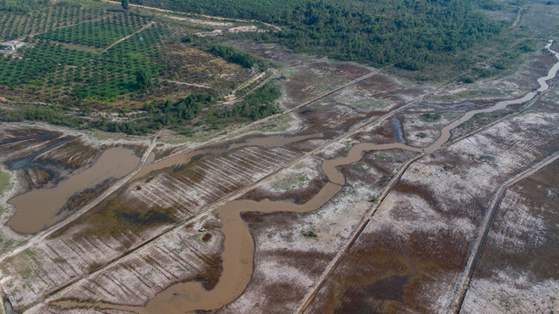 Bencana Ekologis Memukul Si Miskin di Sumatera