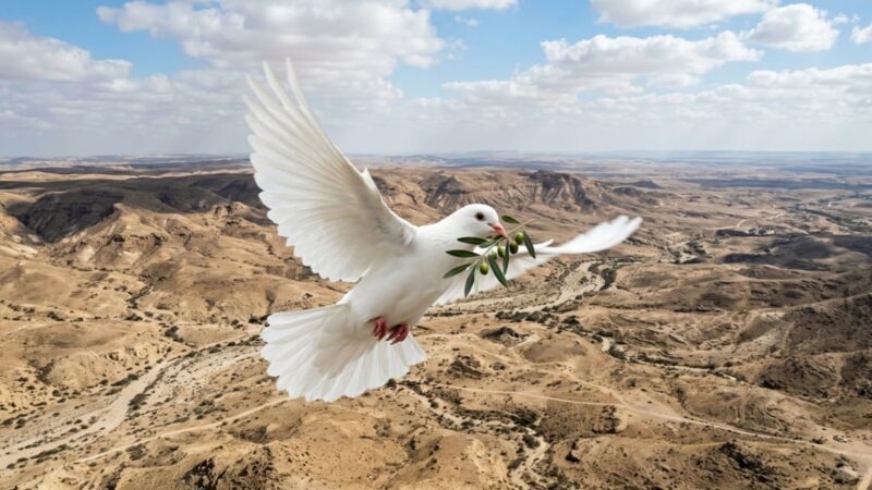 Ini Sikap PGI Atas Eskalasi Kekerasan di Timur Tengah dan Asia Selatan.