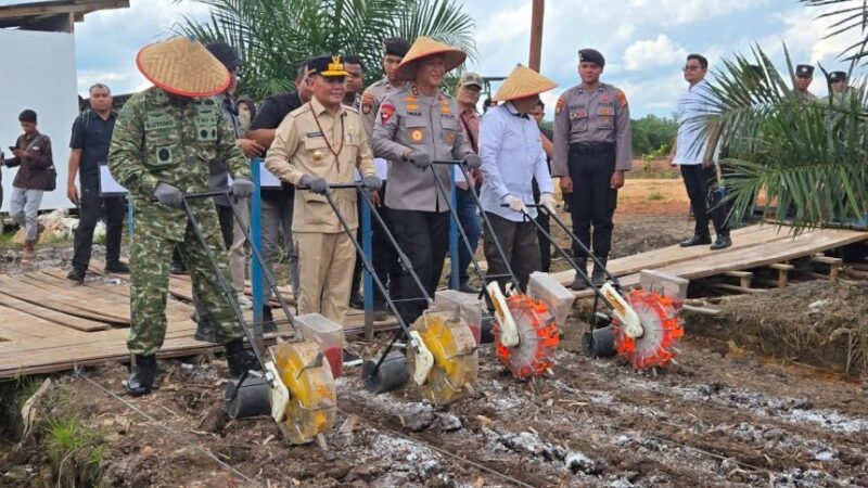 Gubernur dan Polri Tanam Jagung Bersama Kuartal I 2026 di Pulpis.