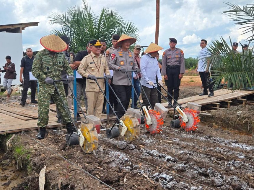 Gubernur dan Polri Tanam Jagung Bersama Kuartal I 2026 di Pulpis.