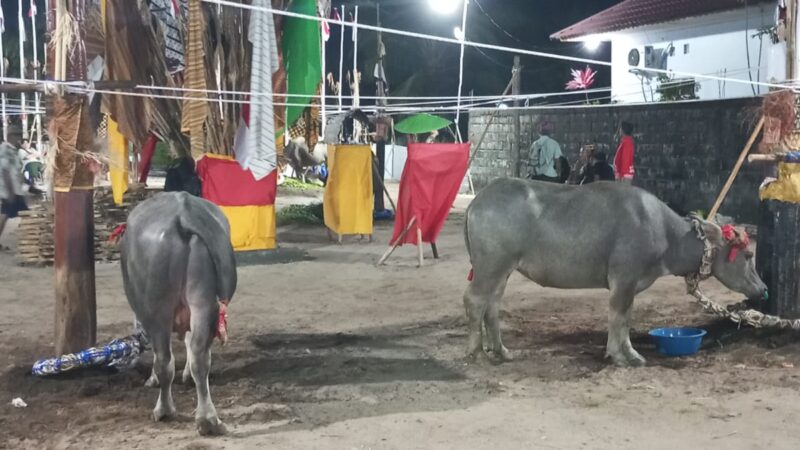 Keluarga Besar Arton, Bajik R Simpei Tiwah, Besok Tabuh Pertama.
