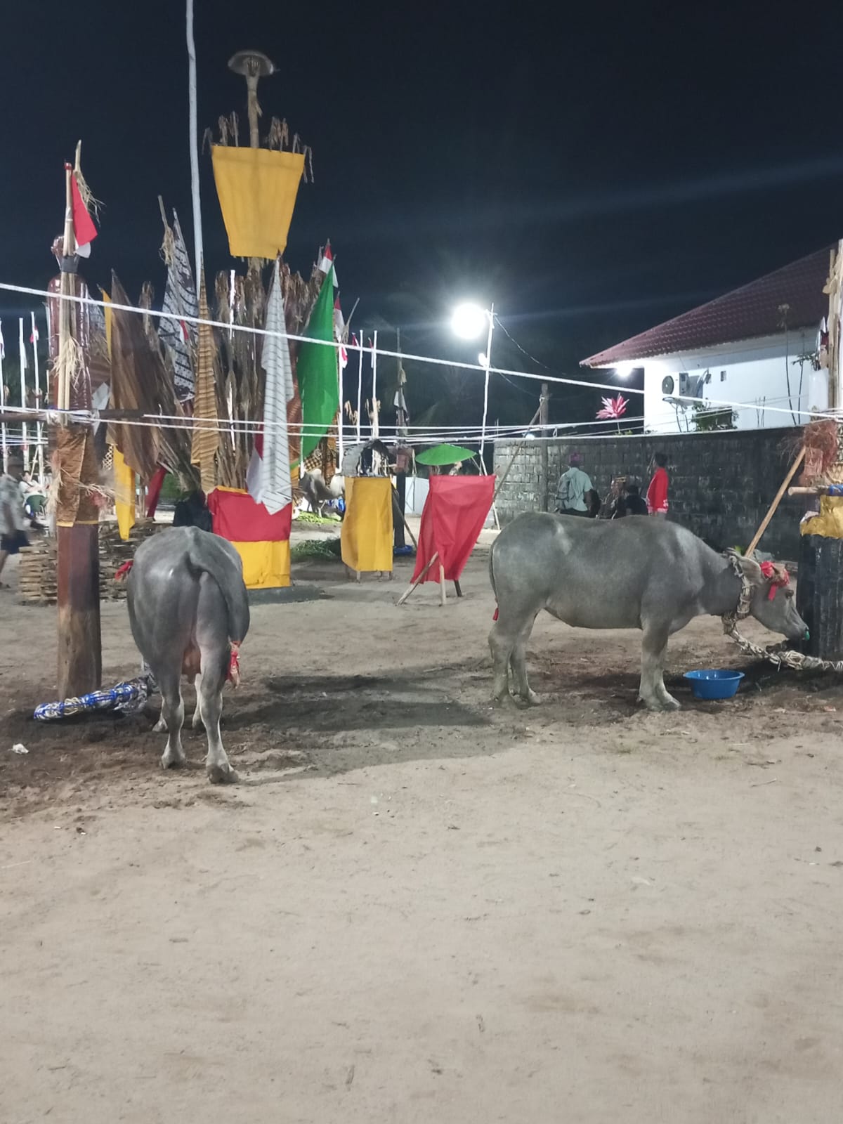 Keluarga Besar Arton, Bajik R Simpei Tiwah, Besok Tabuh Pertama.