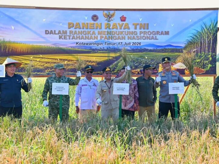 Gubernur Agustiar Sabran Panen Raya di Desa Lempuyang Kotim.