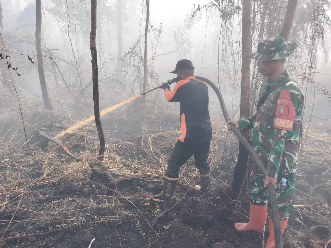 Gerak Cepat Anggota Kodim 1016/Plk Bantu Padamkan Api Karhutla