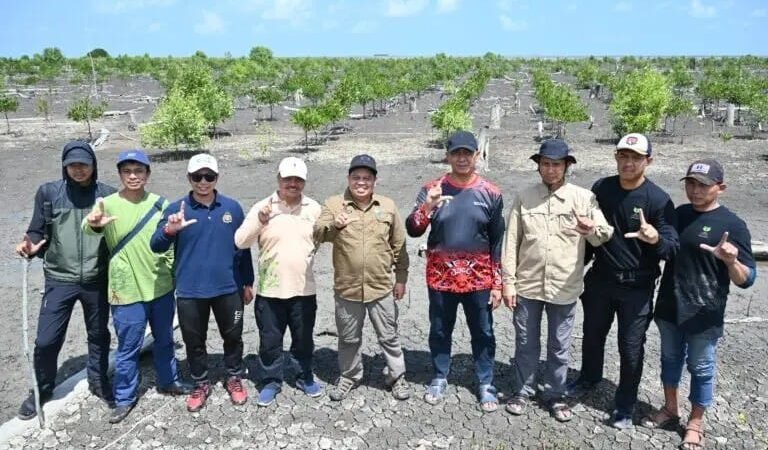 Peringati Hari Mangrove Sedunia, Kadishut Tanam Bibit Mangerove.