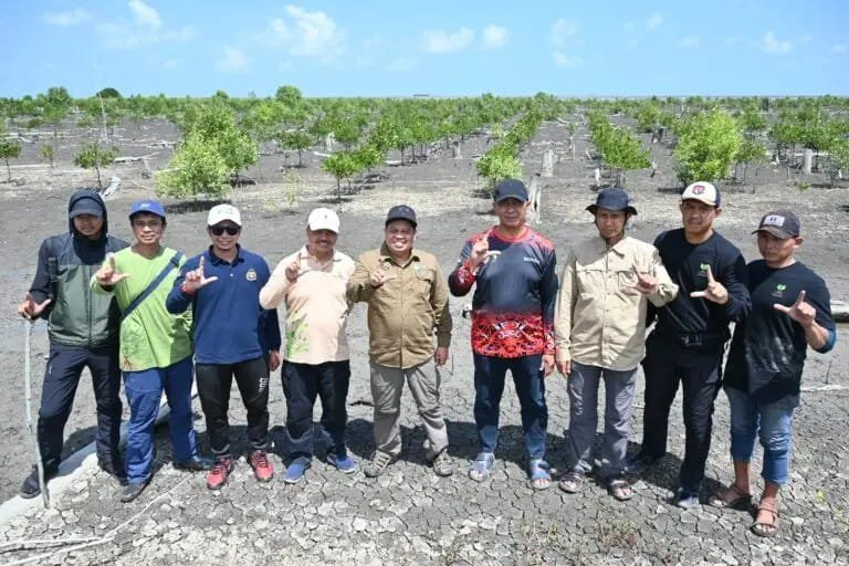 Peringati Hari Mangrove Sedunia, Kadishut Tanam Bibit Mangerove.