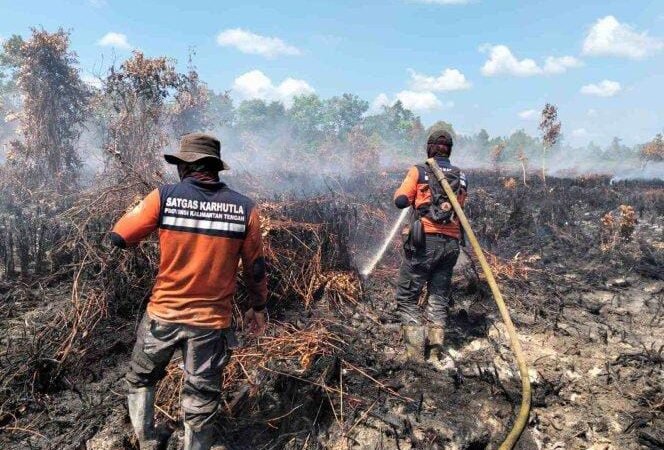 Karhutla Meluas, Satgas Perkuat Operasi Libatkan Kekuatan Udara dan Darat.