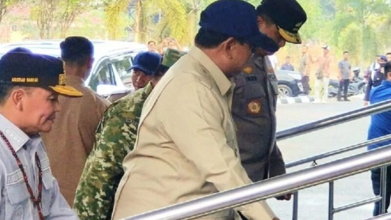 Tinjau Karhutla, Presiden RI Tiba di Kalteng, Area Terbakar Capai 4499,21 ha.