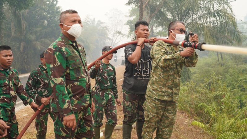 KASDAM XXII/TB TINJAU LANGSUNG PENANGANAN KARHUTLA DI KM 21 PALANGKA RAYA