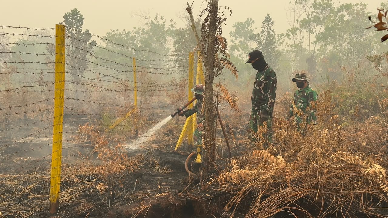 Anggota Kodim 1016/PlkTerus Laksanakan Pembasahan di Lokasi Terdampak Karhutla 