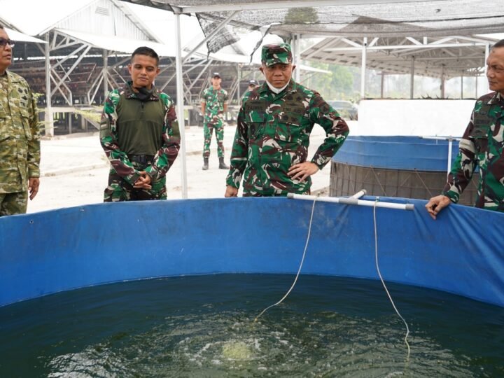 Pangdam XXII/Tambun Bungai Tinjau Langsung Karhutla di Sei Gohong