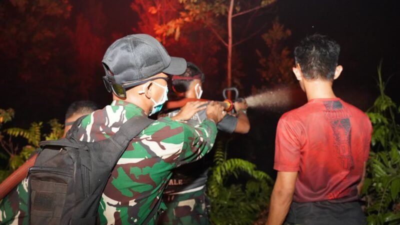 Kapendam XXII/Tambun Bungai Tinjau Karhutla di Jl. Tjilik Riwut Km 23, Palangka Raya