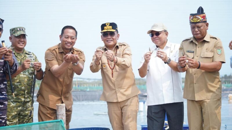 Gubernur Kalteng Dorong Optimalisasi Tambak Udang Vaname.